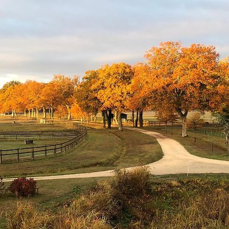 Haras Du Vignault Le Bucher Salbris Esterno foto