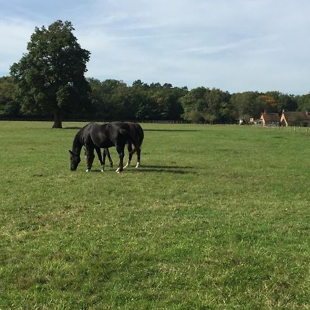 Haras Du Vignault Le Bucher Salbris Esterno foto