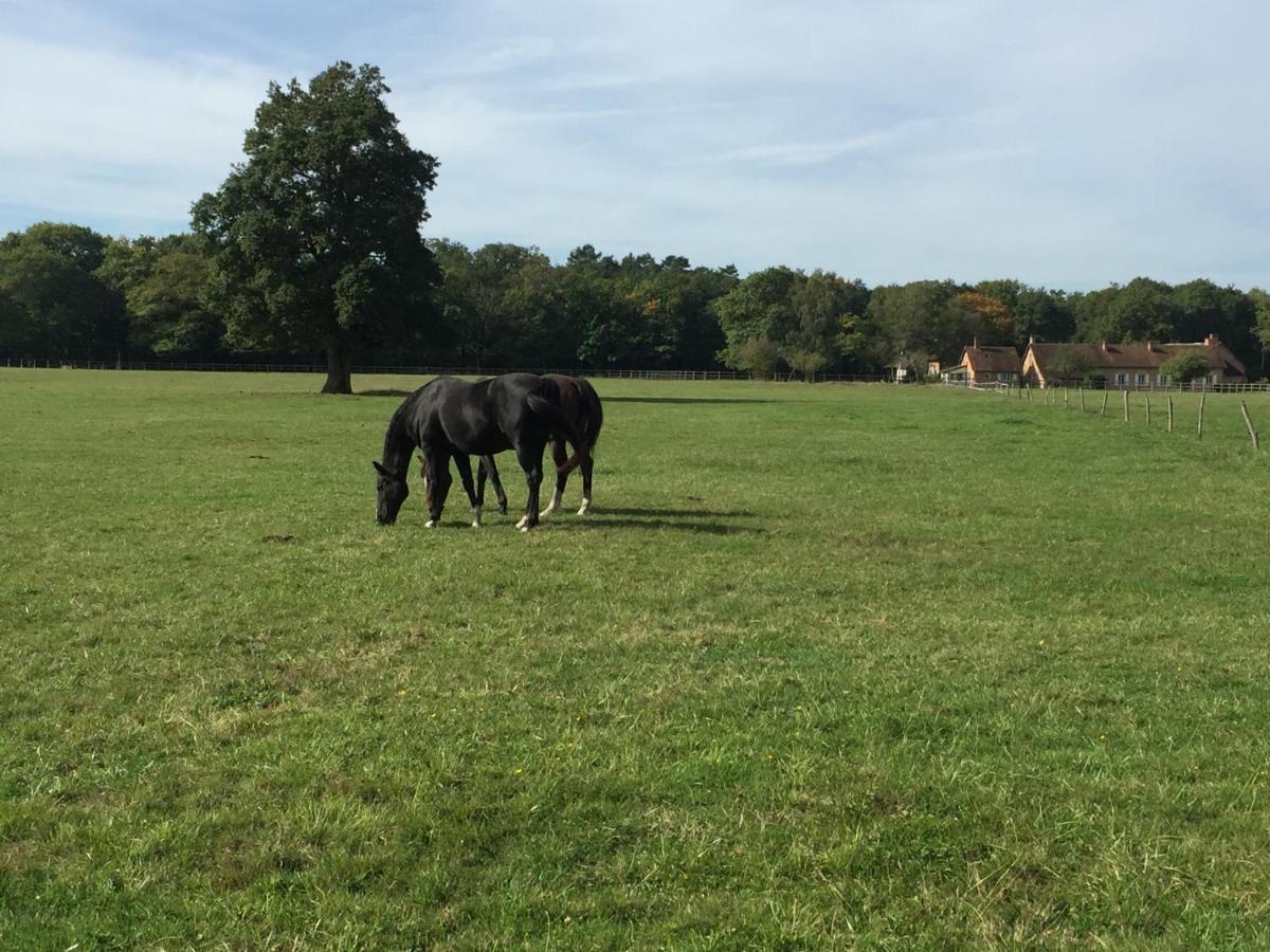 Haras Du Vignault Le Bucher Salbris Esterno foto