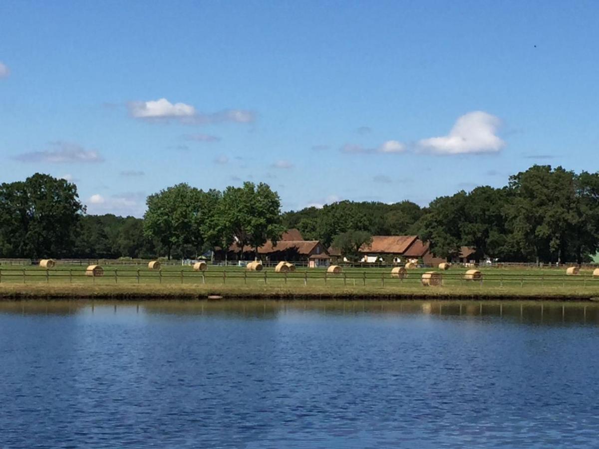 Haras Du Vignault Le Bucher Salbris Esterno foto
